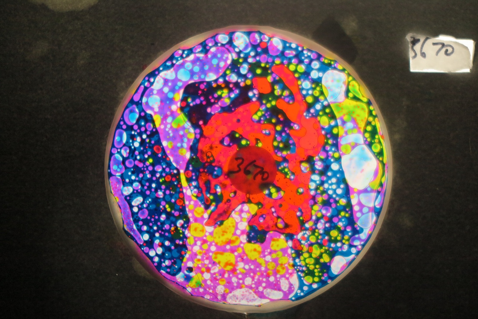 BV3670 bubble vision oil wheel